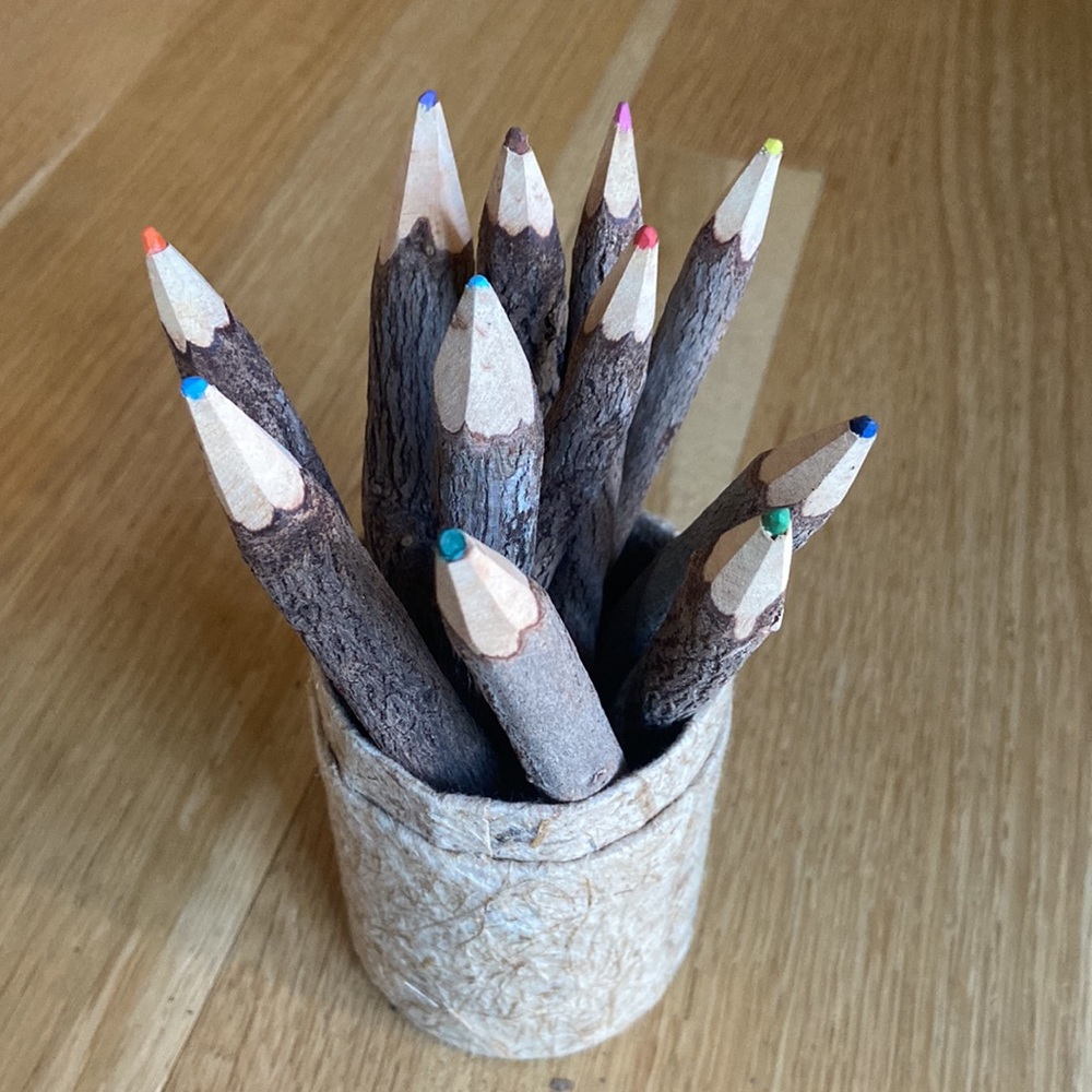 11 Ct. Twig Tree Branch Stick Rustic Colored Pencils Set & Recycled Paper Cup